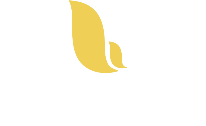 Hathor Concordia