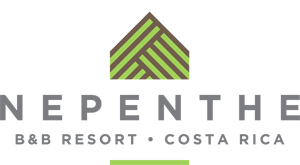 Nepenthe B&B