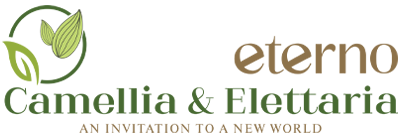 Eterno Camellia and Elettaria